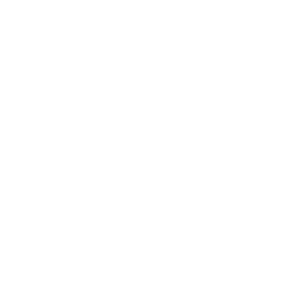 Chauffeur Emil Lanka Tours