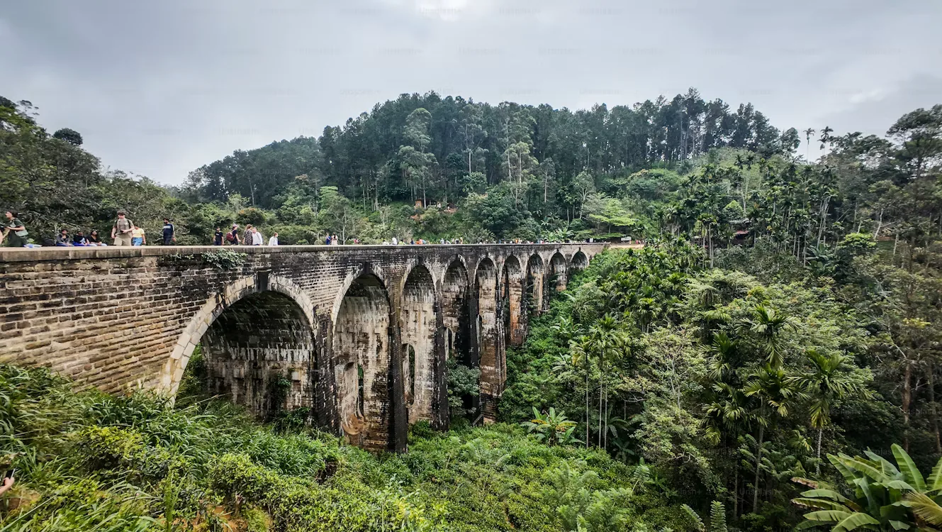 Wide view of Nine Arch Bridge in Ella's tea-covered hill country