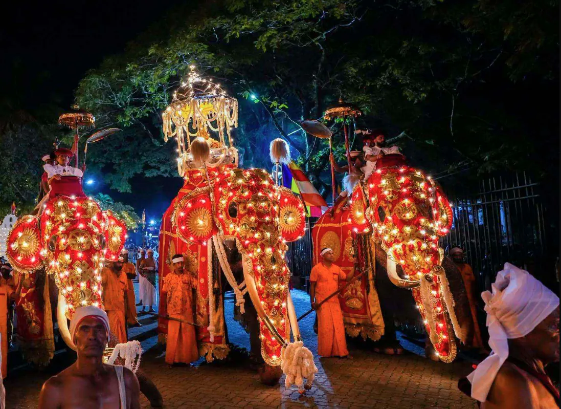 Decorated elephants during the Esala Perahera procession in Kandy