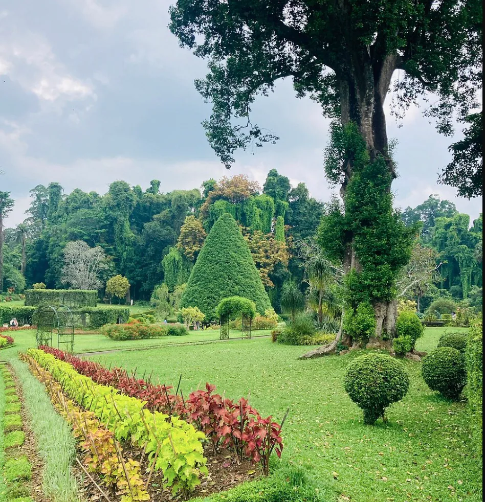 Colourful formal garden landscape at the Royal Botanic Gardens, Peradeniya