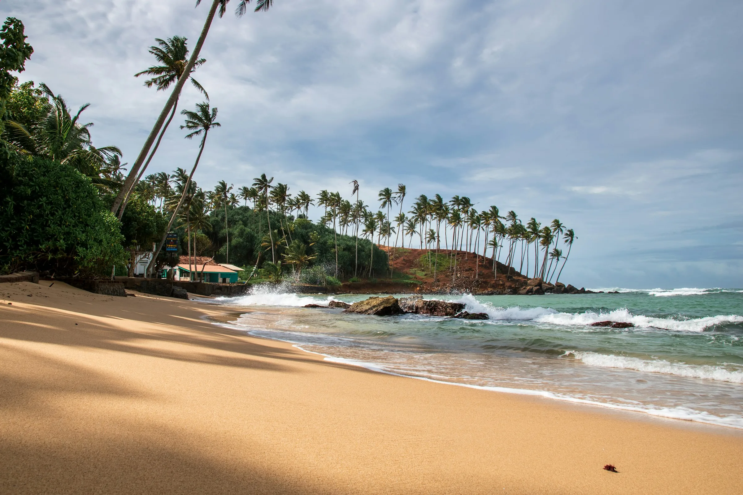 Palm-lined beach and waves in Mirissa, Sri Lanka