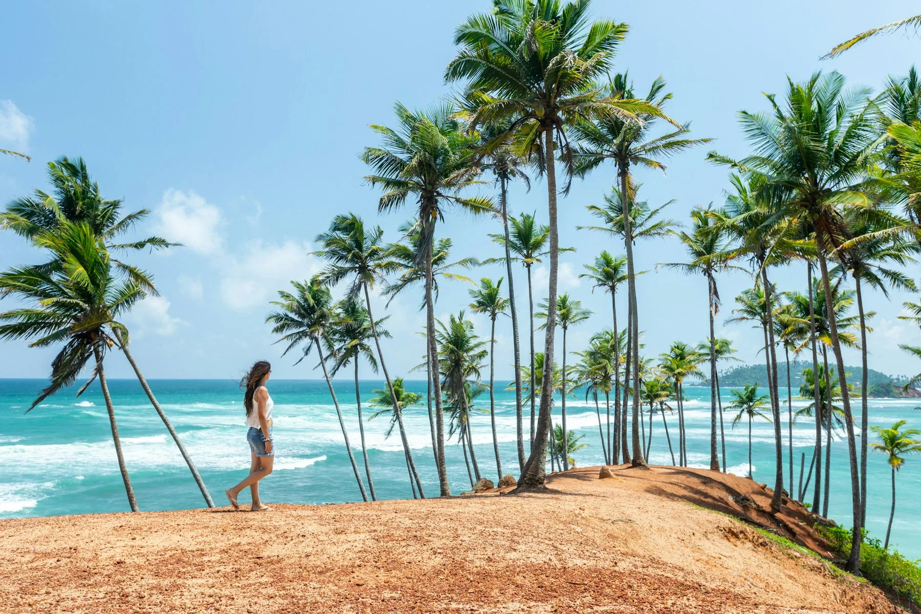 Palm-lined sandy beach in Nilaveli on Sri Lanka’s east coast