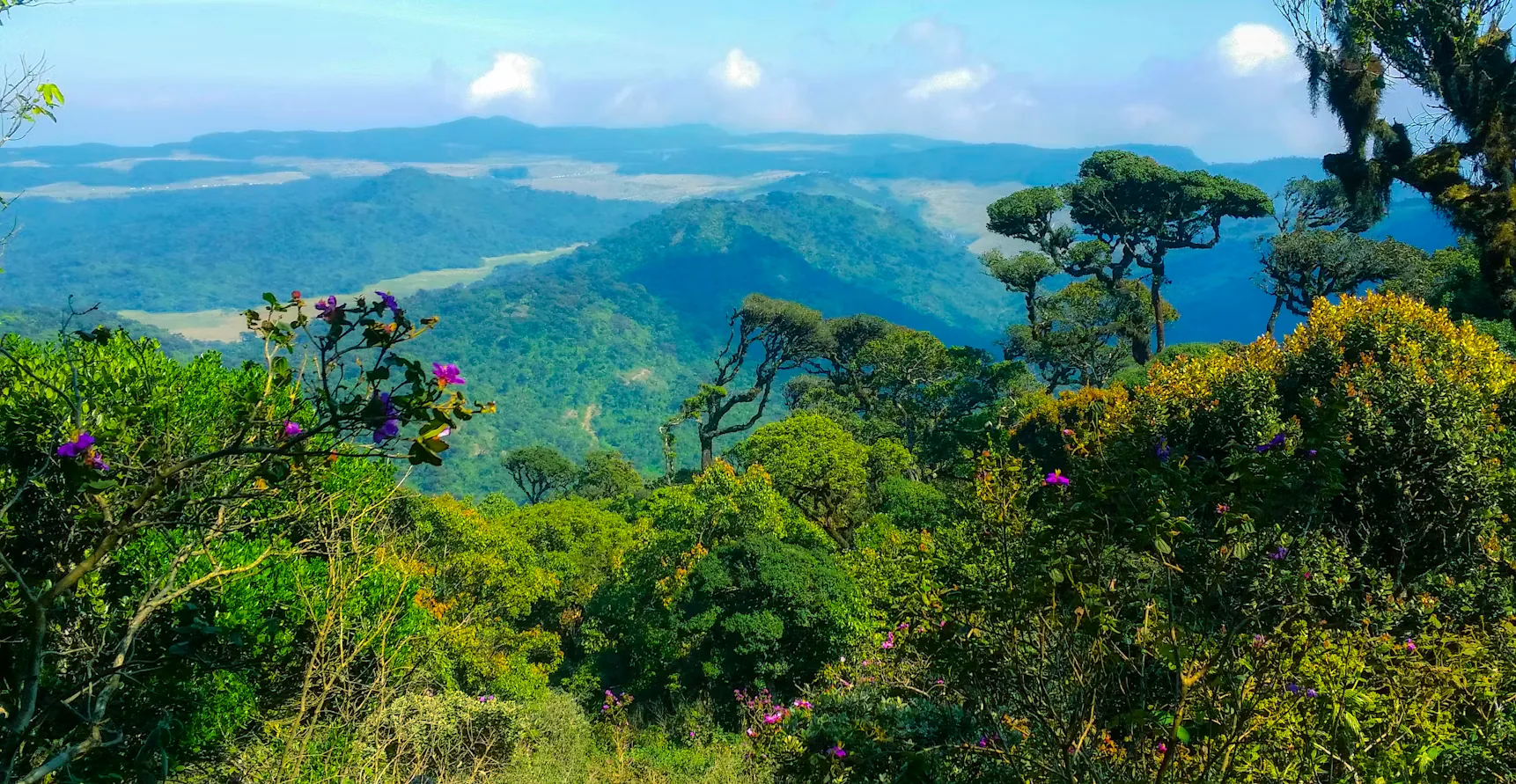 Highland view across Horton Plains in Sri Lanka