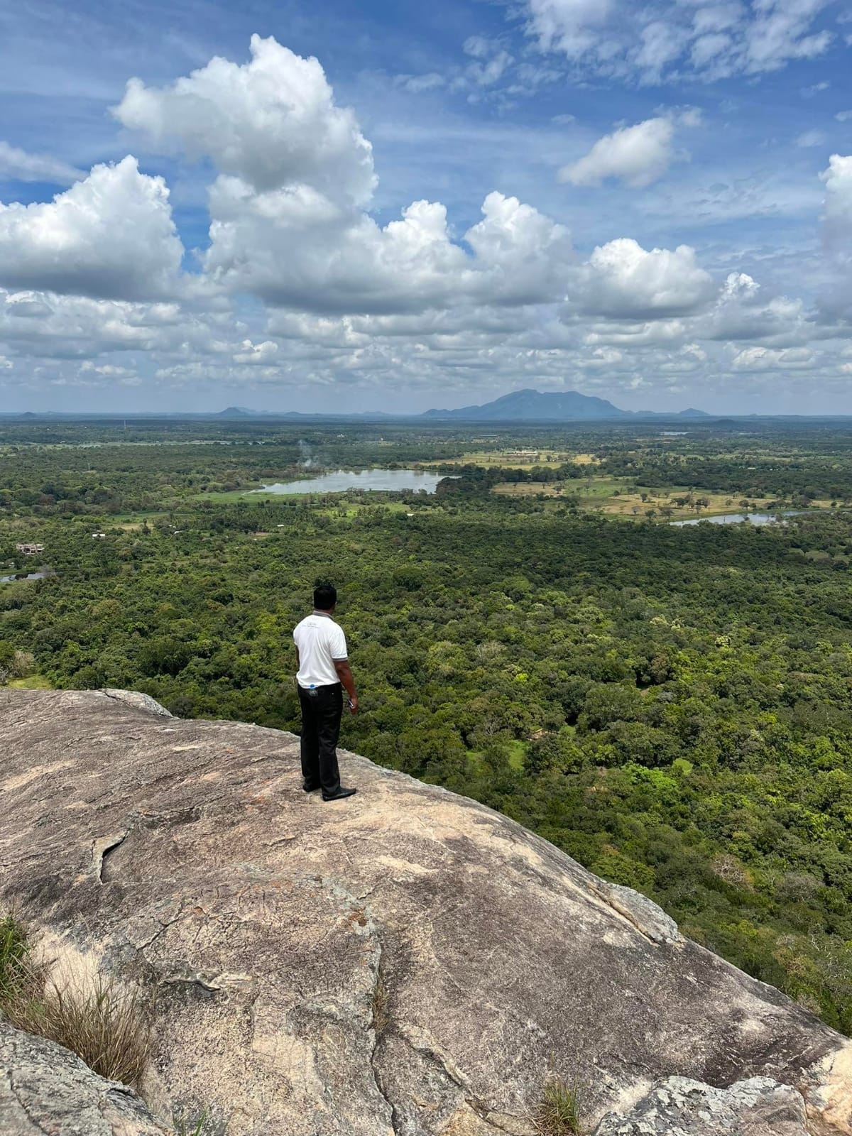 Panoramic view across the Cultural Triangle from Pidurangala Rock