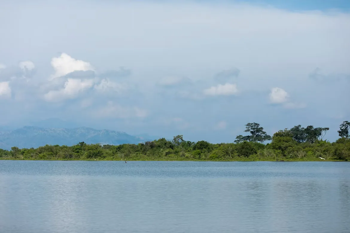 Reservoir and hills near Udawalawe Dam