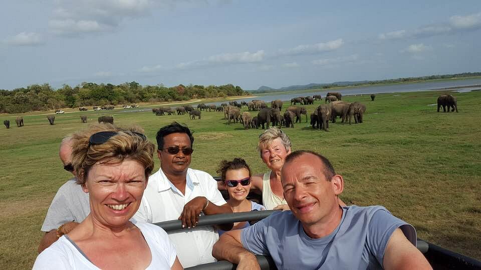 Elephant safari with Emil